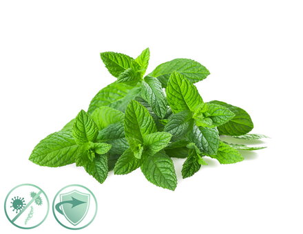 Dezinfekčný olej Mint Fresh New Aroma