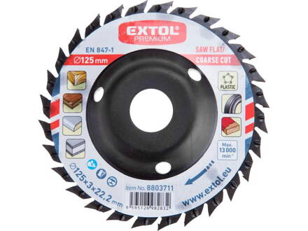 Kotúč rašpľový a pílový 125mm EXTOL Premium 8803711